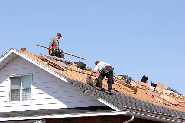 Best Siding Services  in Lake Tansi, TN